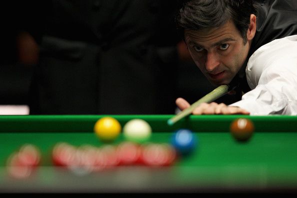 让自己的角 让自己的角